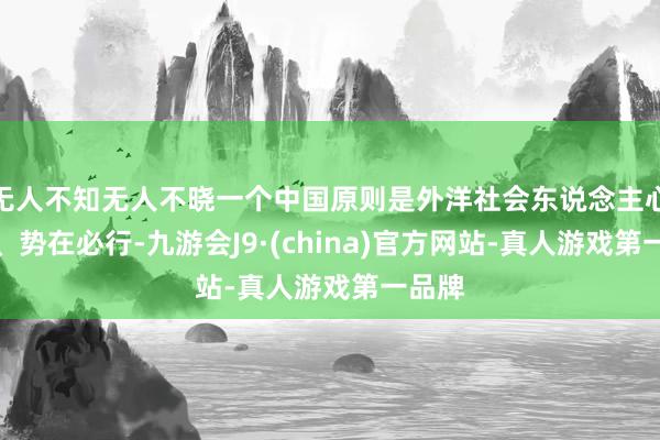 无人不知无人不晓一个中国原则是外洋社会东说念主心所向、势在必行-九游会J9·(china)官方网站-真人游戏第一品牌