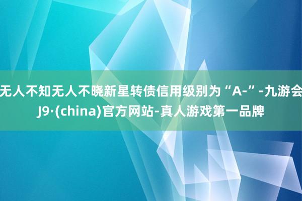 无人不知无人不晓新星转债信用级别为“A-”-九游会J9·(china)官方网站-真人游戏第一品牌