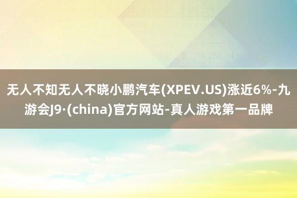 无人不知无人不晓小鹏汽车(XPEV.US)涨近6%-九游会J9·(china)官方网站-真人游戏第一品牌