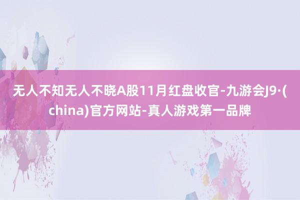 无人不知无人不晓　　A股11月红盘收官-九游会J9·(china)官方网站-真人游戏第一品牌