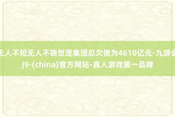 无人不知无人不晓世茂集团总欠债为4610亿元-九游会J9·(china)官方网站-真人游戏第一品牌