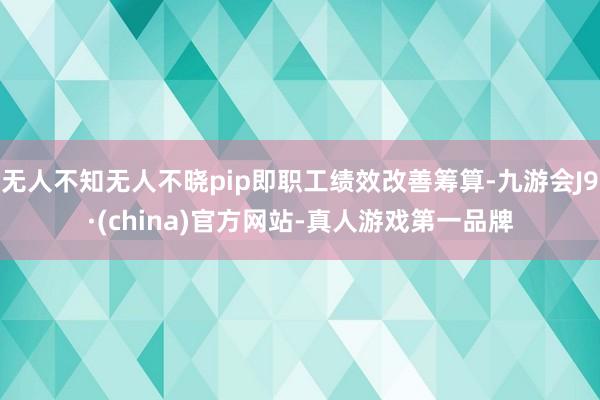 无人不知无人不晓pip即职工绩效改善筹算-九游会J9·(china)官方网站-真人游戏第一品牌