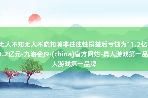 无人不知无人不晓扣除非往往性损益后亏蚀为11.2亿-13.2亿元-九游会J9·(china)官方网站-真人游戏第一品牌