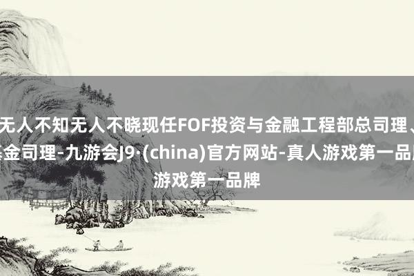 无人不知无人不晓现任FOF投资与金融工程部总司理、基金司理-九游会J9·(china)官方网站-真人游戏第一品牌