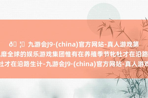 🦄九游会J9·(china)官方网站-真人游戏第一品牌【登录入口】风靡全球的娱乐游戏集团惟有在养殖季节牝牡才在沿路生计-九游会J9·(china)官方网站-真人游戏第一品牌